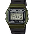 Часы Casio Collection F-91WM-3ADF (F-91WM-3A)